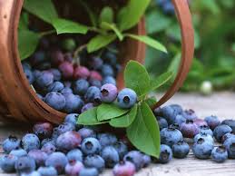 Summer-Fruits-Blueberries