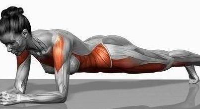 plank-muscles
